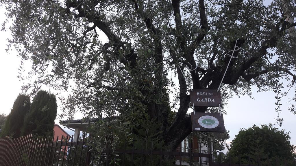 B&B Rosa Del Garda Lazise Zewnętrze zdjęcie